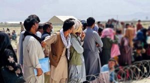 اسلام آباد سمیت 5 اضلاع میں آپریشن، 100 سے زائد غیرقانونی مقیم افغان شہریوں کو حراست میں لے لیا گیا