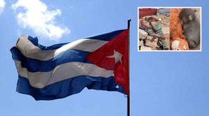 ‘منتخب ہمدردی’ شرمناک ہے؛ فرانس میں کیوبن سفارتخانے نےننھے بندر اور اور غزہ کی بچی کی ویڈیو شیئرکردی