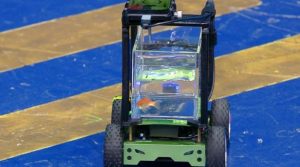 گولڈ فش نے منفرد گاڑی چلا کر عالمی ریکارڈ قائم کر دیا