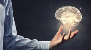 معدے اور یادداشت کے درمیان حیران کن تعلق دریافت