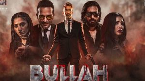 ایکشن، تھرل اور ایڈونچر سے بھرپور پاکستانی فلم بلھا نے 2 دن میں 2 کروڑ روپے سے زائد کمالیے