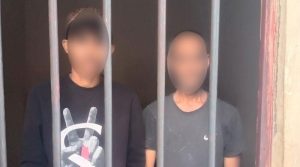 ملزمان نے تیتر چھیننے کیلئے بزرگ شہری کو اینٹ مار کر قتل کردیا