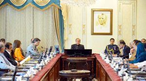 وفاقی وزراء، وزرائے مملکت،مشیروں اور معاونین خصوصی نے رواں سال کتنی تنخواہ لی؟