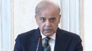 پاکستان کی جانب سے جنگ بندی کی کوششیں جاری ہیں: وزیراعظم