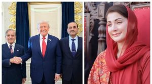 تاریخ عالم میں جب بھی اس جنگ کا ذکر ہوگا ہر جگہ ’پاکستان‘ ہی لکھا جائے گا: مریم نواز