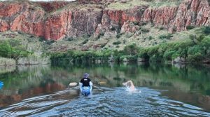 مگرمچھوں سے بھرے دریا میں 55 کلومیٹر تک تیر کر عالمی ریکارڈ قائم کرنیوالا فرد