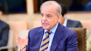 دنیا میں امن کیلئے پاکستان نے بھرپور کردار کیا اور کر رہا ہے: وزیراعظم