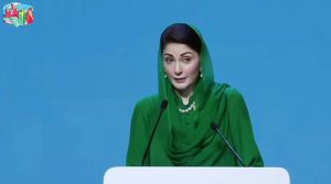 پنجاب میں ماڈل ولیج پروگرام کے تحت 2 ہزار دیہات کو جدید سہولتوں سے آراستہ کر رہے ہیں، مریم نواز