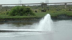 میری ملیر ندی مر رہی ہے۔۔۔