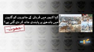لاہور میں عید سے قبل گلیوں میں قربانی کے جانور باندھنے پر کوئی پابندی نہیں لگائی گئی ہے؟