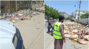 قربانی کے جانوروں کی آلائشوں اور باقیات سے پروازوں کو خطرات لاحق، انوائرمنٹ کنٹرول ٹیم متحرک