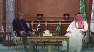 وزیر داخلہ کی سعودی ہم منصب سے ملاقات، ایف سی اسپیشل یونٹ کے اہلکاروں کی سعودیہ میں ٹریننگ کا فیصلہ