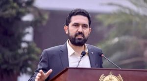 سہیل آفریدی نے پارلیمنٹ کے باہر احتجاج کے معاملے سے پارٹی قیادت کو لاعلم رکھا: ذرائع