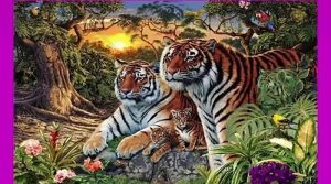 اس تصویر میں ٹائیگر کے کتنے چہرے چھپے ہیں؟