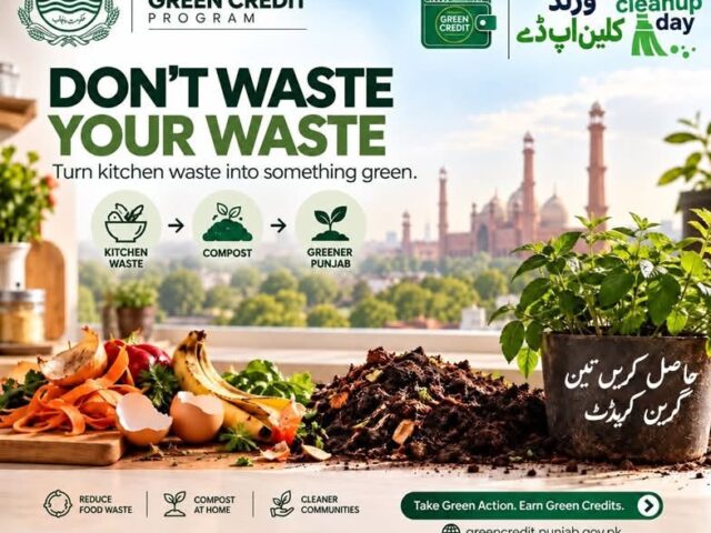 کچن کا کچرا فائدے کا سودا : 30 ہزار روپے حاصل کریں